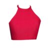 Red High Neck Sports Crop Top BK114R