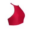 Red High Neck Sports Crop Top BK114R