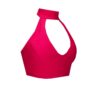 High Neck Halter Sports Crop Top in Red BK139R