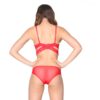 Red Lace and Net Knickers