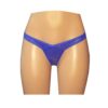 Blue french lace V cheeky micro knicker UW17