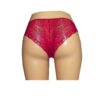 Red floral lace and power net knicker UW31r