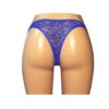 Blue french lace V cheeky micro knicker UW17