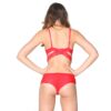 Red Strappy High Waist French Lace Knickers  UW50